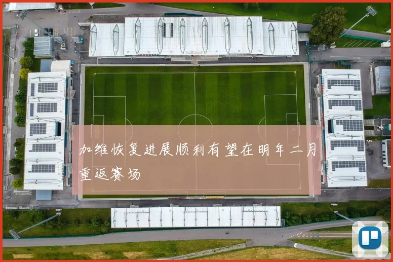 加维恢复进展顺利有望在明年二月重返赛场